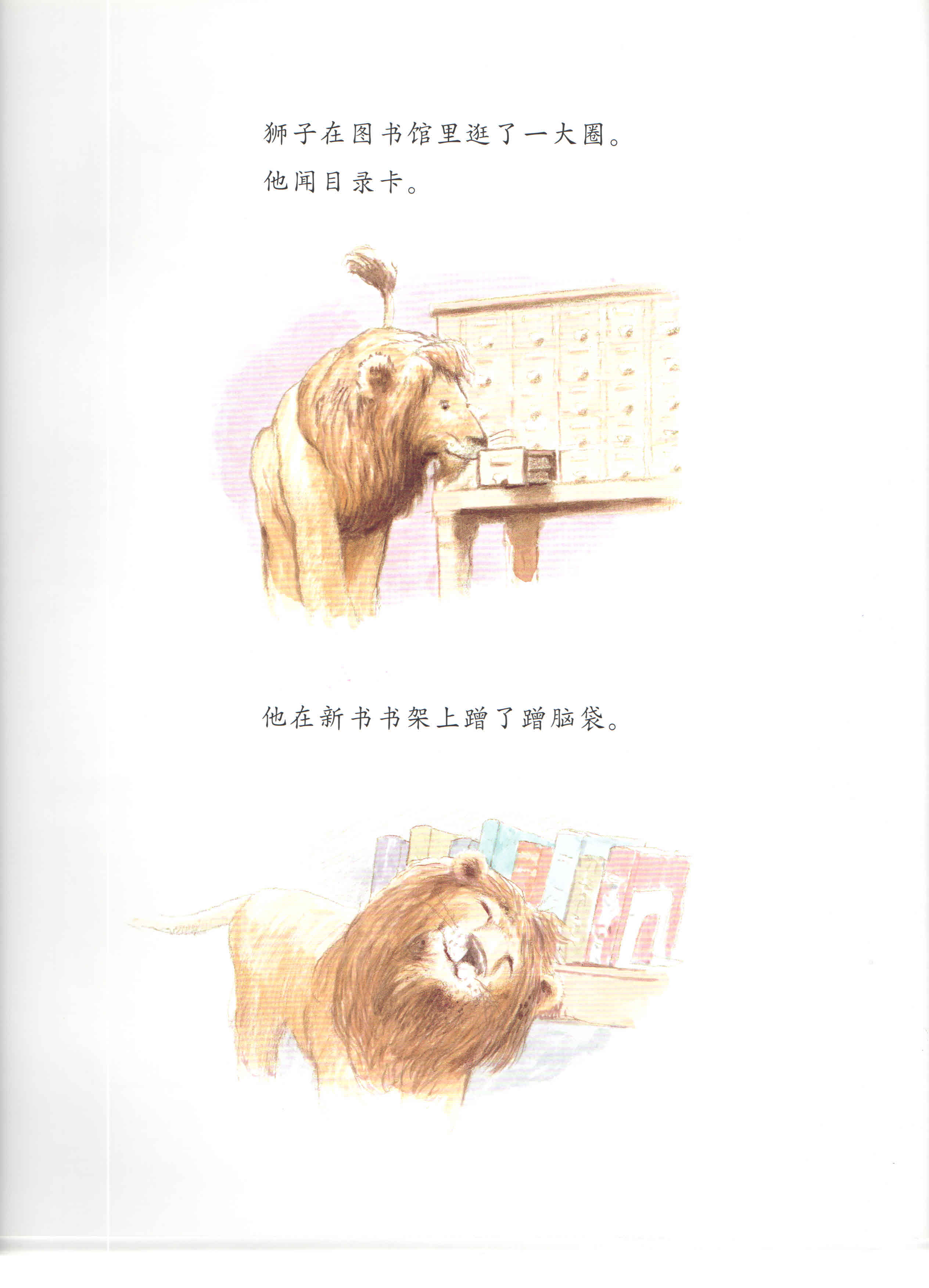 图书馆狮子 (09),绘本,绘本故事,绘本阅读,故事书,童书,图画书,课外阅读
